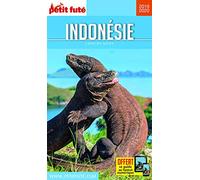 Guide Indonésie 2019-2020 Petit Futé