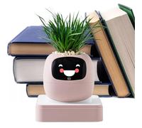 Guide intelligent pour l'entretien des - Expressions multiples | Pot de fleurs carnivores pour maison, appartement, bureau, salon, chambre à coucher, balcon, terrasse, débutants
