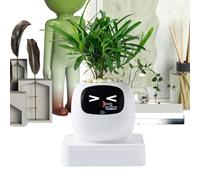 Guide intelligent pour l'entretien des - Expressions multiples | Pot de fleurs carnivores pour maison, appartement, bureau, salon, chambre à coucher, balcon, terrasse, débutants