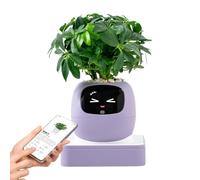 Guide interactif du robot végétal, compagnon d'entretien des pots de fleurs, pot de carnivores intelligent, gadget de décoration intérieure pour la maison, le bureau, accessoire de chambre à c