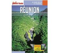 Guide La Réunion 2019 Carnet Petit Futé Dominique Auzias (Auteur)