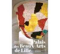 Guide lille fr Collectif (Auteur)