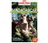 Guide Madagascar 2022 Carnet Petit Futé