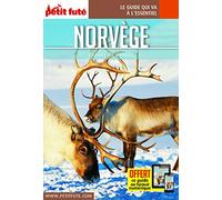Guide Norvège 2019 Carnet Petit Futé
