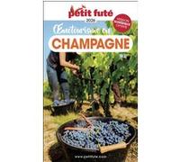 Guide Oenotourisme en Champagne 2026 Petit Futé