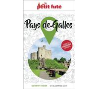 Guide Pays De Galles 2024/2025 Petit Futé 2024-2025 - Dominique Auzias - Petit futé - broché - Guide