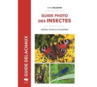 Guide photo des insectes: Adultes, larves ou chrysalides
