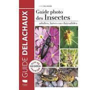 Guide photo des insectes: Adultes, larves ou chrysalides