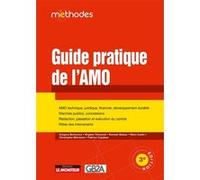 Guide pratique de l'AMO: AMO technique, juridique, financier - Marchés publics, concessions, marchés privés
