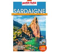 Guide Sardaigne 2025 Carnet Petit Futé (2025)