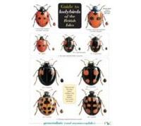 Guide to Ladybirds of the British Isles - [Version Originale] Michael Majerus, Helen Roy, Peter Brown, Remy Ware (Auteur)