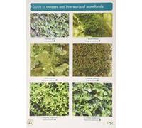 Guide to Mosses and Liverworts of Woodlands (Chart) - [Version Originale] Inconnu (Auteur)