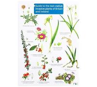 Guide To The Non-Native Invasive Plants Of Britain And Ireland