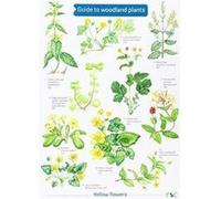 Guide to Woodland Plants (Field Studies Council Occasional Publications) - [Version Originale] Inconnu (Auteur)