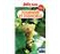 Guide Tourisme Et Vignoble En Alsace 2026/2027 Petit Futé