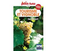 Guide Tourisme Et Vignoble En Alsace 2026/2027 Petit Futé (2026-2027)