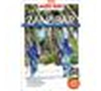 Guide Zanzibar 2025 Carnet Petit Futé