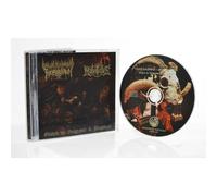 Guided By Vengeance & Bloodlust