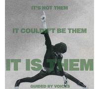 Guided By Voices - It's Not Couldn't Be It is Them
