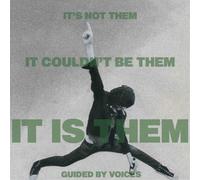It's Not Them It Couldn't Be Them It Is Them! - Vinyle 33 Tours