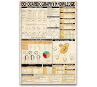 Guides de cardiologie, plaques métalliques, affiches de connaissances en échocardiographie, cliniques de cardiologues, décorations murales pour la maison, le bureau, l'hôpital, 30,5 x 20,3 cm