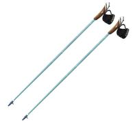 Guidetti - Vent des Fjords Ultra Tech 50 - Bâtons marche nordique Toundra - 105 cm