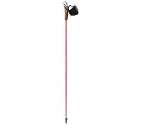 Bâton de marche nordique GUIDETTI VDF UT70 Steppe 125 cm