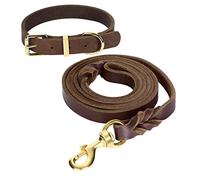 Guiding Star Ensemble Laisse et Collier en Cuir pour Chien, 1,8 m pour Chiens et Collier en Cuir Souple et Durable pour Petits Chiens