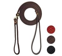 Guiding Star Laisse en Cuir pour Petits Chiens et Chiots - 1,8 m x 0,6 cm - Laisse de Dressage en Cuir Luxueuse et légère pour la Promenade - avec poignée Souple (Marron)
