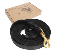 Guiding Star Laisse en Cuir tressé Robuste de 2,4 m pour Le Dressage, la Marche, la Course à Pied, la Marche, la Course, la Laisse, pour Chiens de Petite, Moyenne et Grande Taille, Noir