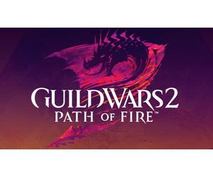 Guild Wars 2 Path of Fire (PC)