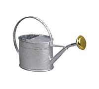 GUILLOUARD 80320 Arrosoir, Gris, Neutre