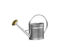 Arrosoir 4L - Acier galvanisé - avec Pomme métal Grille Laiton - Léger et Robuste - Grande Anse Ergonomique - Idéal arrosage intérieur, Balcon, Jardin et Potager - 020340