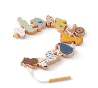 guilty Or Not Guilty?'': Speeches From The Dock, Or Protests Of Irish Patriotism, Containing, With Introductory Sketches And Biographical Notic