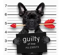 GUILTY Quadro G3358 PINTDECOR
