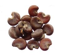 Guimauve - 150 graines - Althaea Officinalis - Common Marshmallow - SEM27