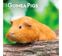 Guinea Pigs | 2027 7 x 14 Inch (Hanging) Monthly Mini Wall Calendar | BrownTrout | Domestic Animals Small Pets