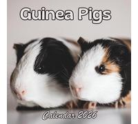 Guinea Pigs Calendar 2026: 12 Months Organizer From January to December