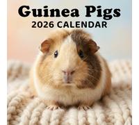 Guinea Pigs Calendar 2026: Cute Photography for Small Pet Lovers