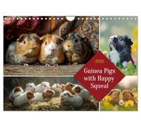 Guinea Pigs with Happy Squeal (Wall Calendar 2026 DIN A4 landscape), CALVENDO 12 Month Wall Calendar: Guinea pigs - small fluffy balls, big personalities
