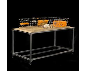 GuineaLoft™ Acrylic Cage (Model-A) - Large 4x2ft Open Cage for Guinea Pigs, Bunnies, Quails, Hedgehogs, Roaming Small Animals, DIY Extendable - Visit The Guinea Loft Store to See It All