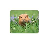 Guinée Mignon de Porc au Gingembre Tapis de Souris Pad - Porcinet Pig Animal Cadeau PC Ordinateur # 8558