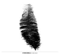Guirca Sac de 12 plumes d'autruche 30 cm One Size