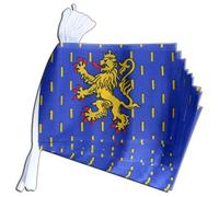 Guirlande 15 Drapeaux France Franche Comté - 5,9 m + Digni®-Sticker Gratuit