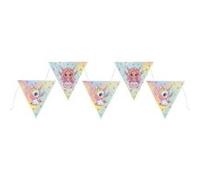 guirlande à fanions carton petite fée 5m coloré - générique 8451 0-99 Multicolore G