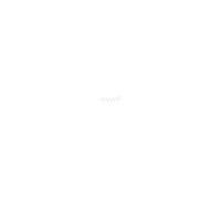 Guirlande blanche scintillante compact EDM - esprit de Noël - blanc froid - ampoules LED - 11 m - 72263 blanche G
