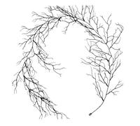 Guirlande de branches noires de 1,88 m - Décoration de fête gothique