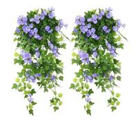 Guirlande de Gloire du Matin, PurpleBlue