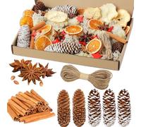 Guirlande de l'Avent décorative de Noël - 46 Accessoires de Couronne de l'Avent - Tranches d'orange séchées, tranches de Pommes, bâtons de Cannelle, Pentagramme, Pommes de pin