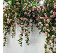 Guirlande de roses artificielles décoratives de 1 9 m de long avec fleurs réalistes, convient pour embellir l'intérieur de la maison et les centres commerciaux (jaune clair)